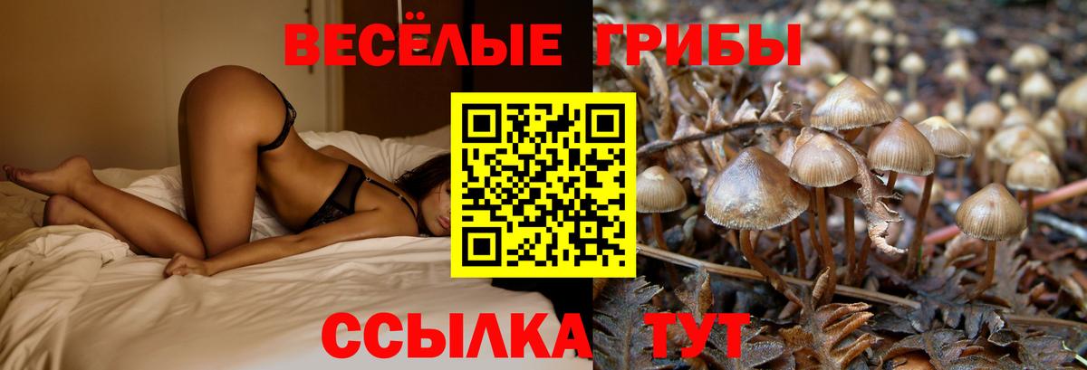 закладка  Вход с VPN  Волгоград  Псилоцибиновые грибы мухоморы 